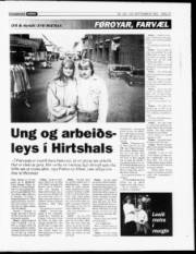 Síða 13