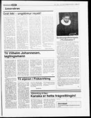 Síða 17