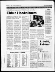 Síða 20