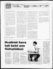 Síða 2