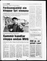 Síða 5