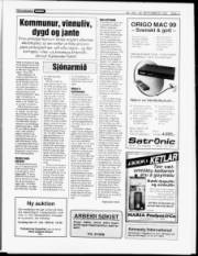 Síða 11