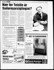 Síða 17
