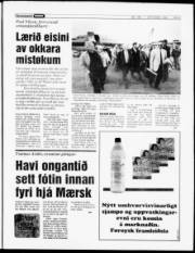 Síða 5