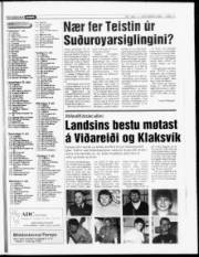 Síða 15