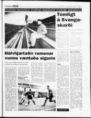 Síða 19