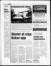 Síða 5