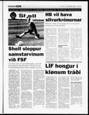 Síða 13