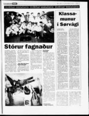 Síða 17