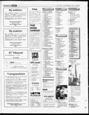 Síða 23