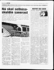 Síða 13