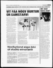 Síða 14