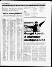 Síða 17