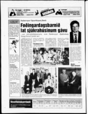 Síða 24