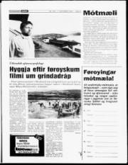 Síða 3