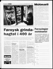Síða 3