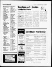 Síða 15