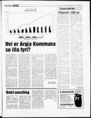 Síða 17