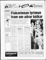 Síða 24