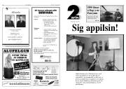 Síða 8