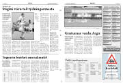Síða 8