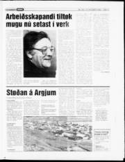 Síða 17