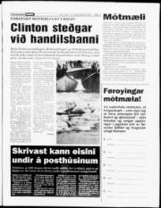Síða 3