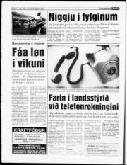 Síða 6