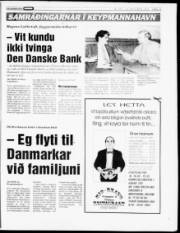 Síða 13