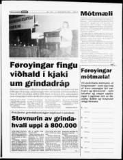 Síða 3