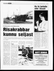 Síða 5