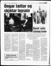 Síða 6