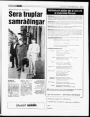 Síða 7