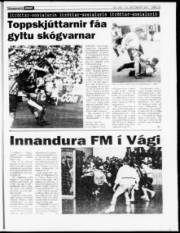 Síða 13