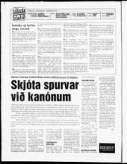Síða 2