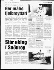 Síða 8