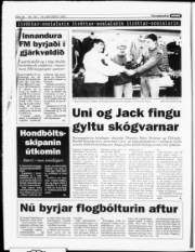 Síða 10