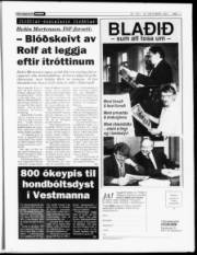 Síða 11