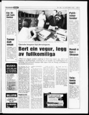 Síða 3