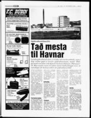 Síða 5