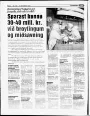 Síða 6