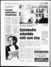 Síða 8