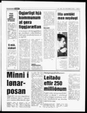 Síða 3