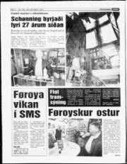 Síða 4