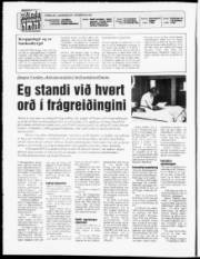 Síða 2