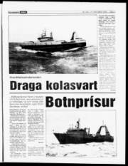 Síða 3