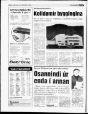 Síða 4