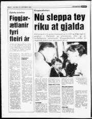 Síða 6