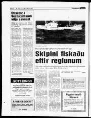 Síða 12