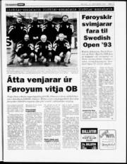 Síða 13
